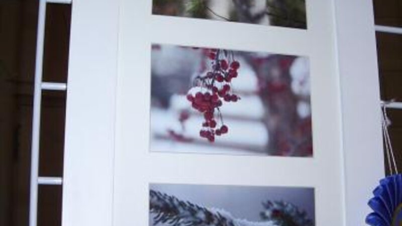 3rd Annual Exhibit Maine Winter Study