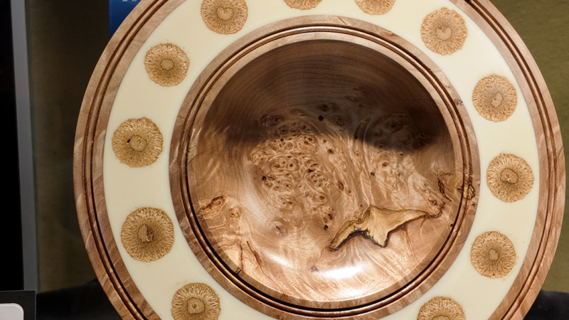 Platanus Occidentalis