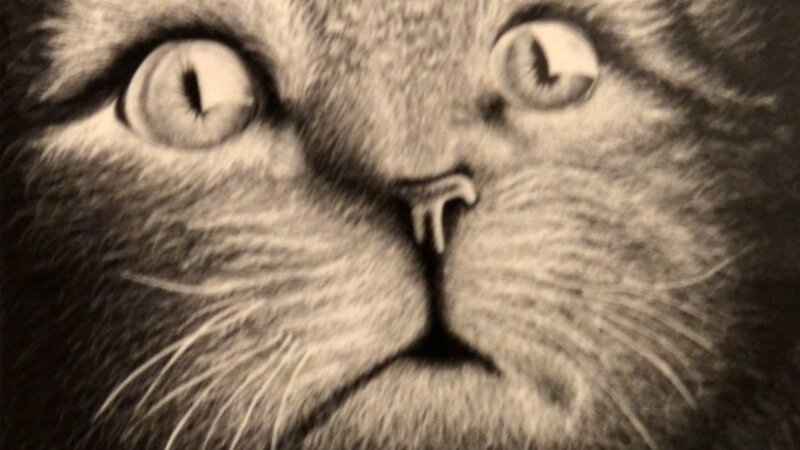 4th Annual Exhibit Night Vision