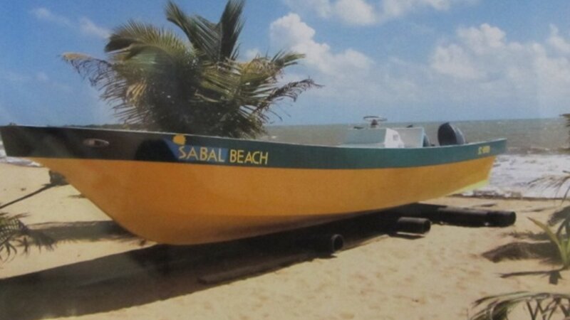 6th Annual Exhibit Marooned in Paradise