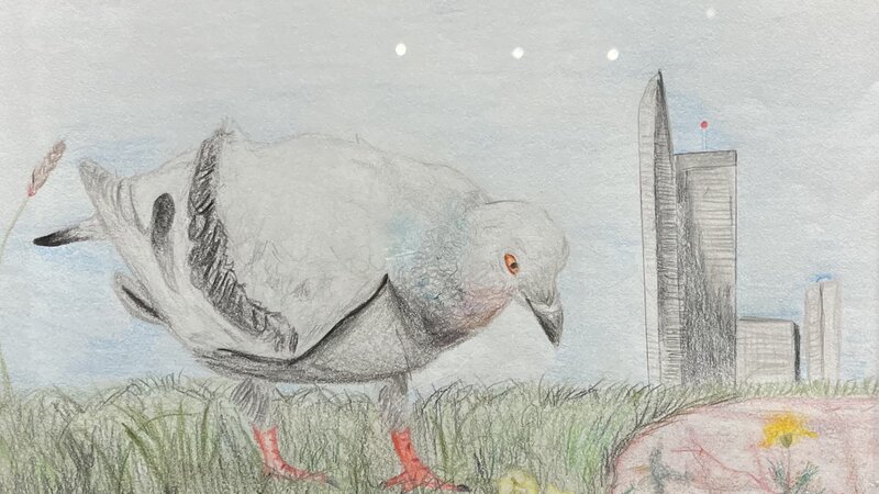 Pigeon Eating Popcorn