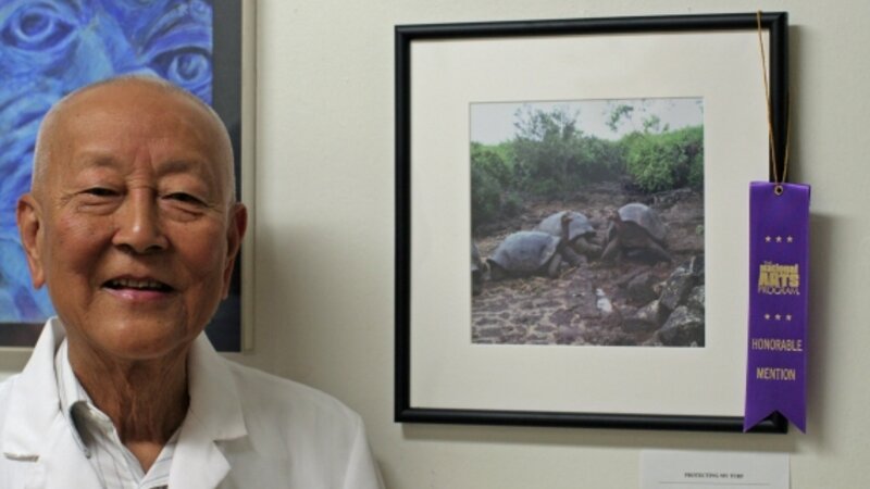 5th Annual Exhibit Protecting my Turtle