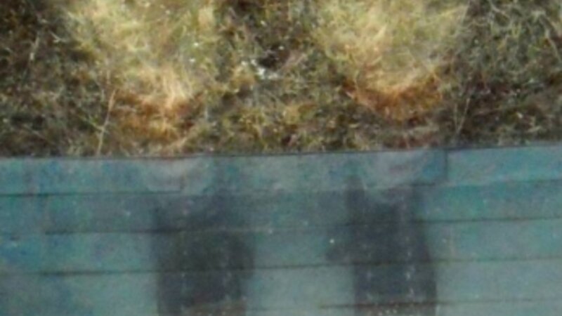 9th Annual Exhibit Laces