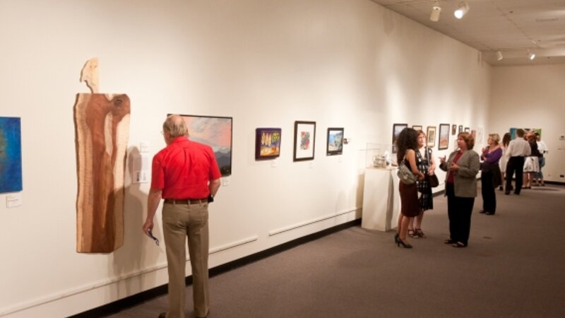 2nd Annual Exhibit 2010 NAP artwork on display at the Idaho State Historical Museum