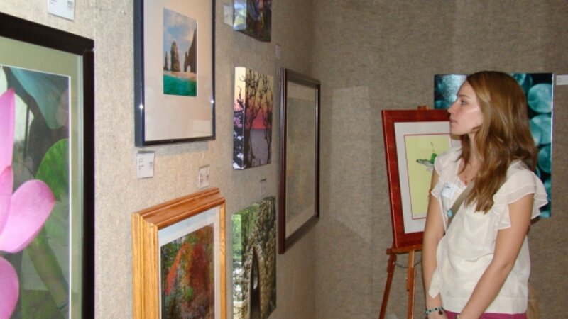3rd Annual Exhibit Opening Reception at the Louise Jones Gallery at the Bryan Center
