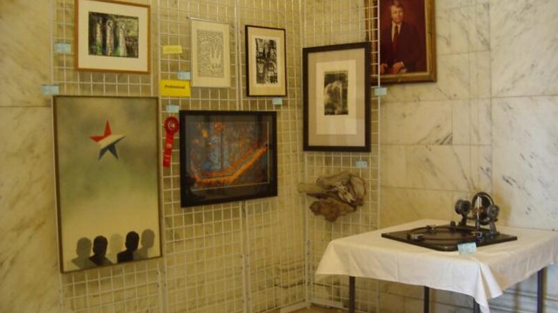 4th Annual Exhibit 2010 Professional Display Area #1