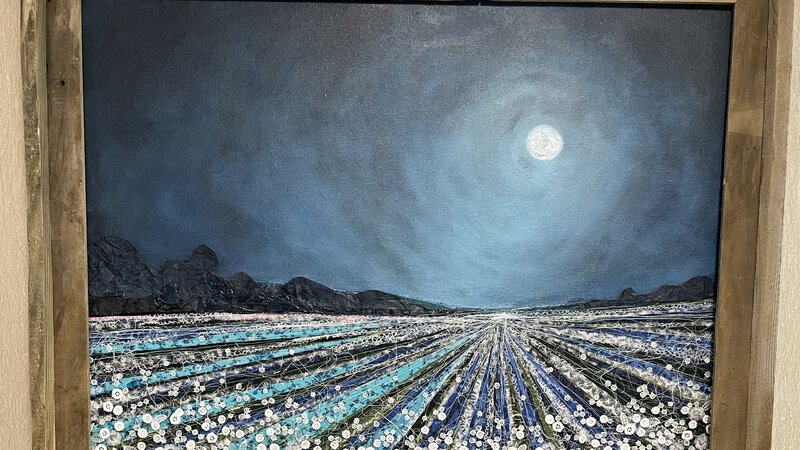 Cotton Field at Night