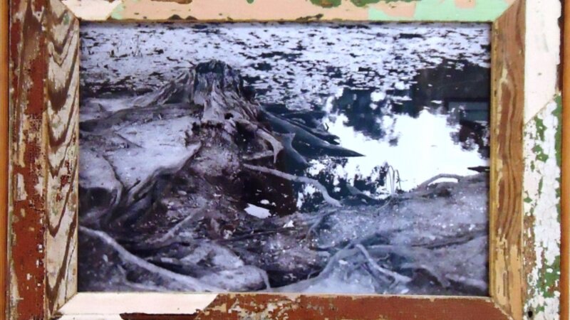 8th Annual Exhibit Stump & Lagoon, City Park, New Orleans