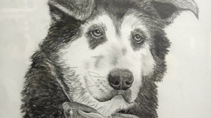 6th Annual Exhibit Beasty