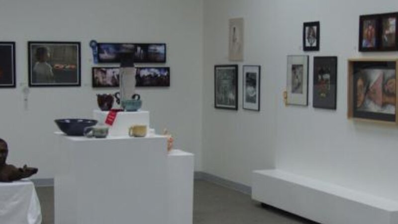 3rd Annual Exhibit Artwork on display at the 2009 NAP Exhibition in Savannah, GA