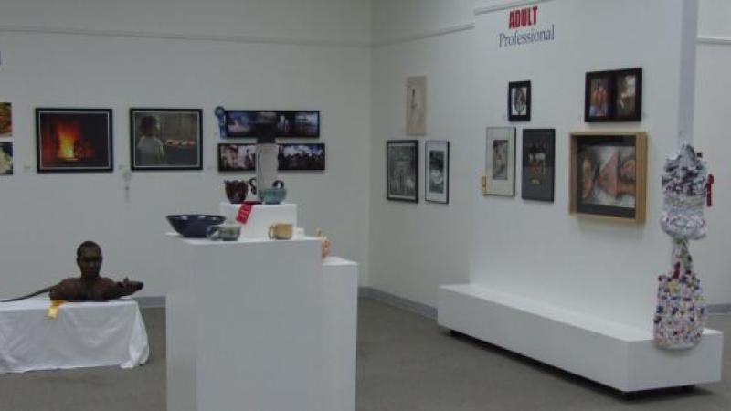 3rd Annual Exhibit Artwork on display at the 2009 NAP Exhibition in Savannah, GA