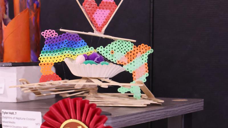 Dolphins of Neptune Coaster