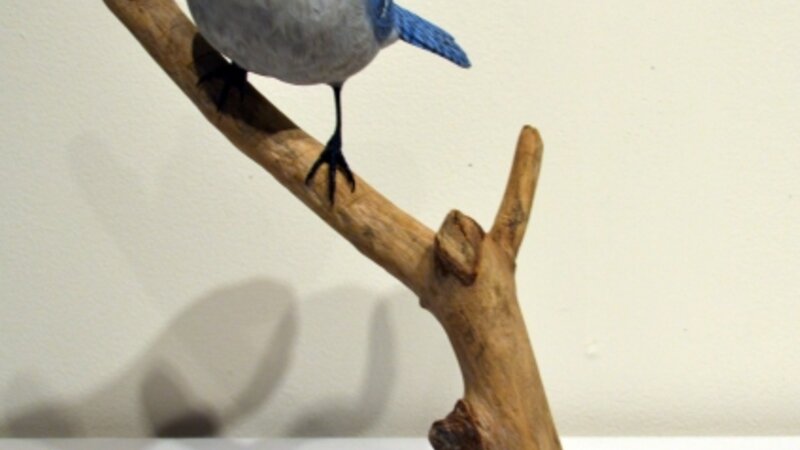 3rd Annual Exhibit Blue Jay