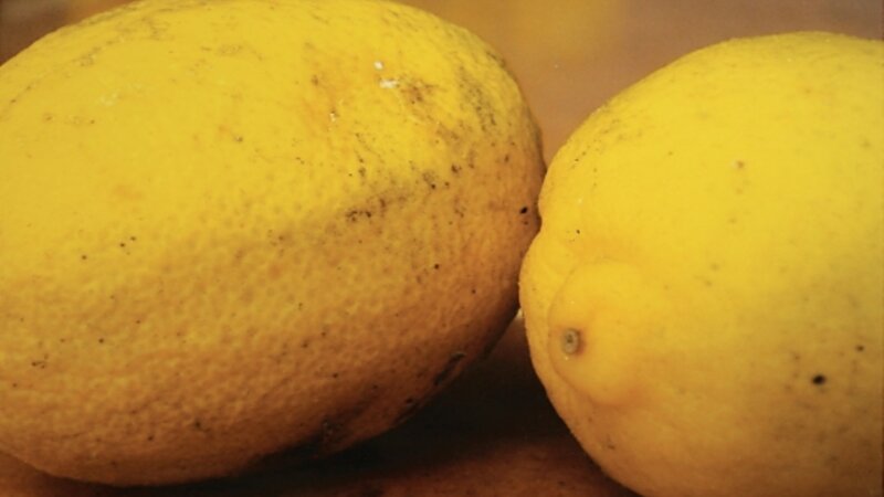 8th Annual Exhibit My Main Squeeze