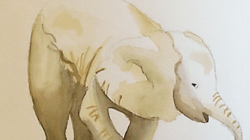 10th Annual Exhibit Elephant