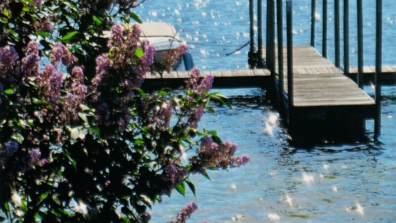 9th Annual Exhibit Lakeside Lilacs