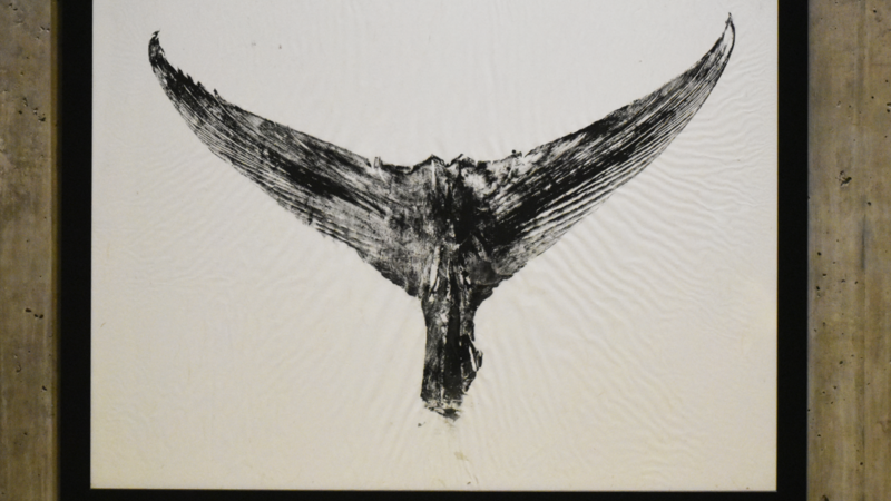 5th Annual Exhibit ...fin