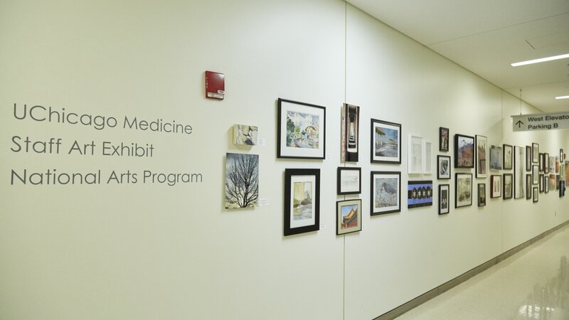 13th Annual Exhibit UChicago corridor lined with artwork from this years exhibit.