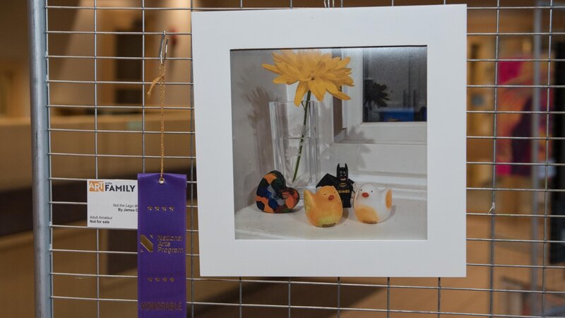 2nd Annual Exhibit Not The Legos We Need