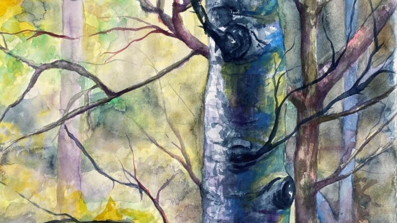 15th Annual Exhibit Through the Woods