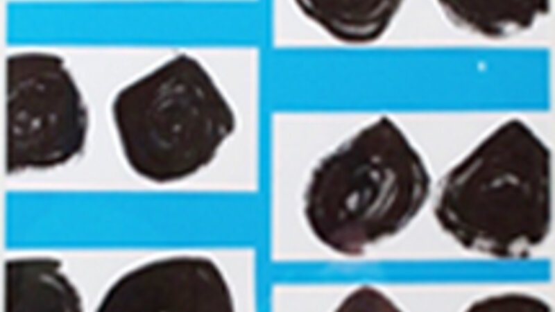 17th Annual Exhibit Onions