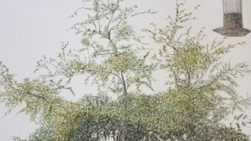 11th Annual Exhibit Olive Green