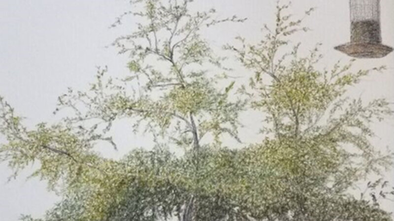 11th Annual Exhibit Olive Green