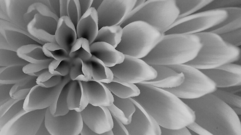 11th Annual Exhibit Light and Shadow