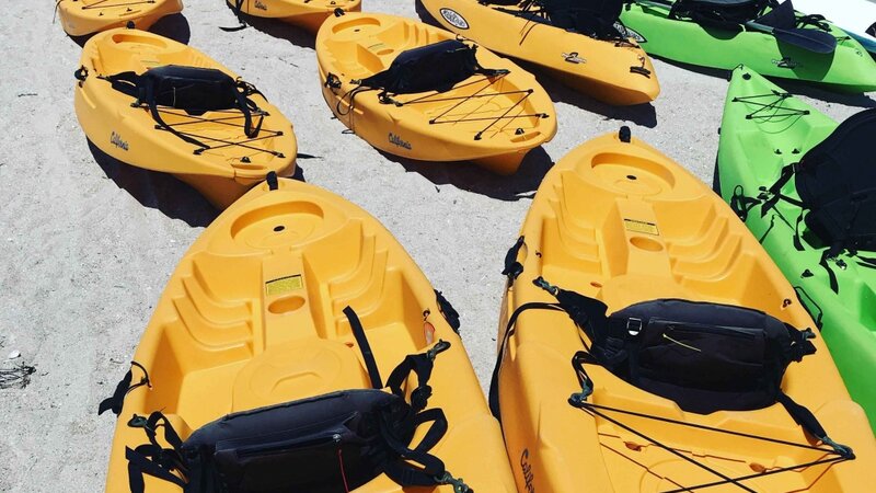 12th Annual Exhibit Appreciation Day at Sand Key