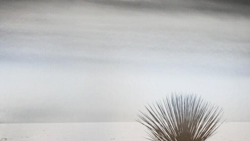 9th Annual Exhibit Small Talk