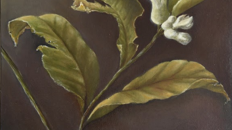 13th Annual Exhibit What the Hail: Lemon Tree