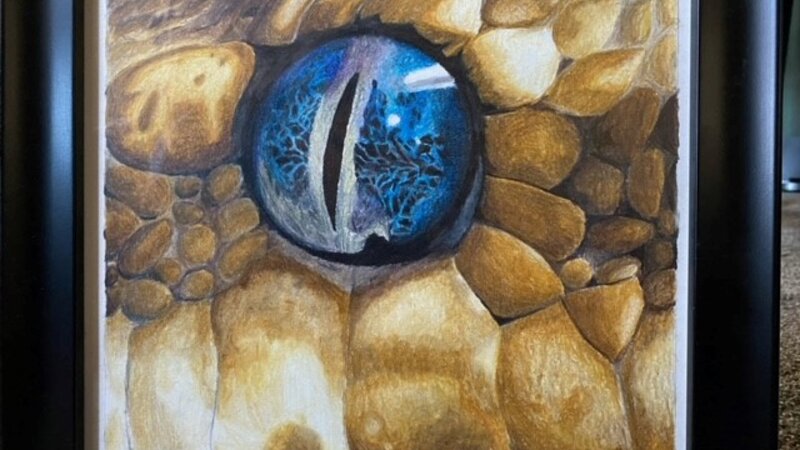 7th Annual Exhibit SnakeEye