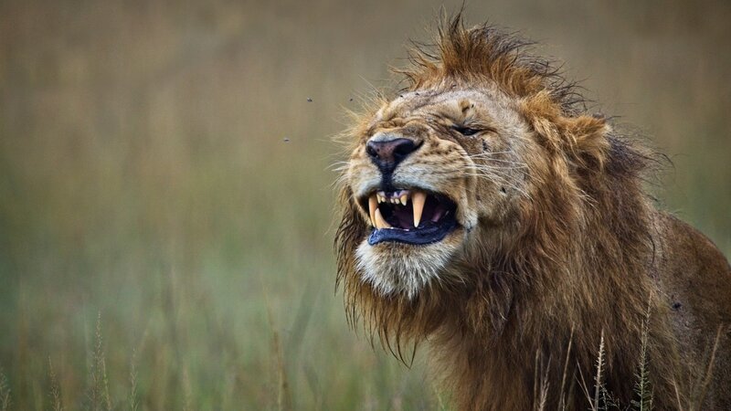 13th Annual Exhibit I'm Smiling, Now Take My Picture