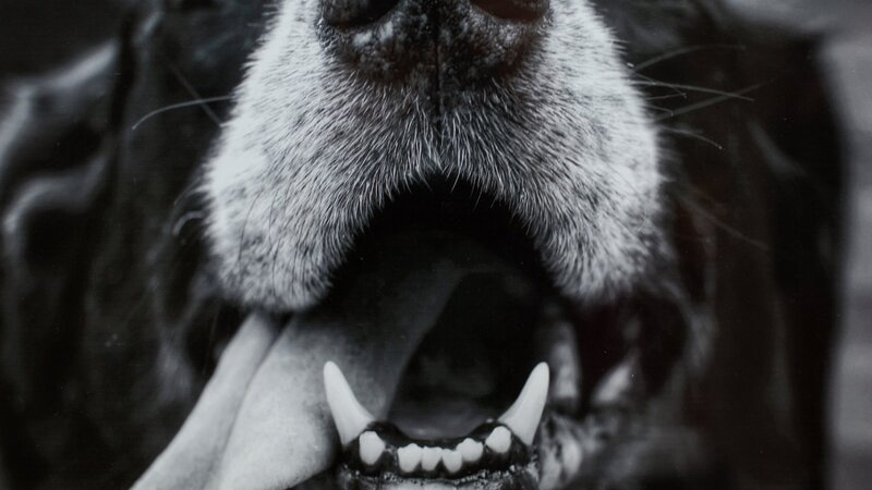 6th Annual Exhibit Old Friend