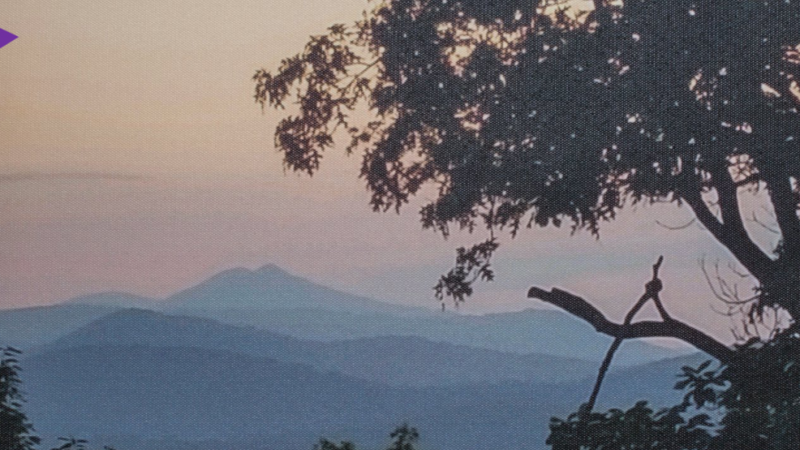 7th Annual Exhibit Peak to Peak