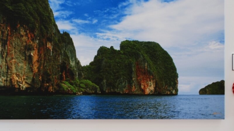 5th Exhibit Viridian Waters