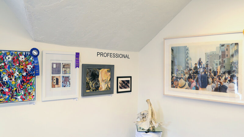 21st Annual Exhibit Professional Artwork