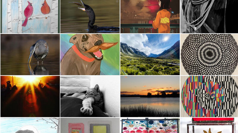 11th Annual Exhibit University of Arizona 11th Annual NAP Virtual Exhibit