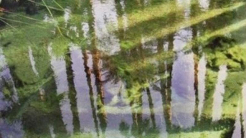 1st Annual Exhibit Death Valley