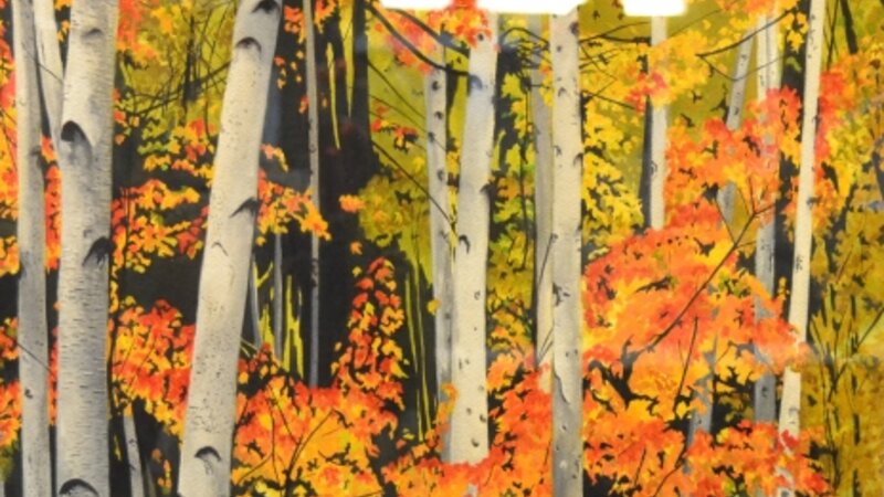 6th Annual Exhibit Forest Fire