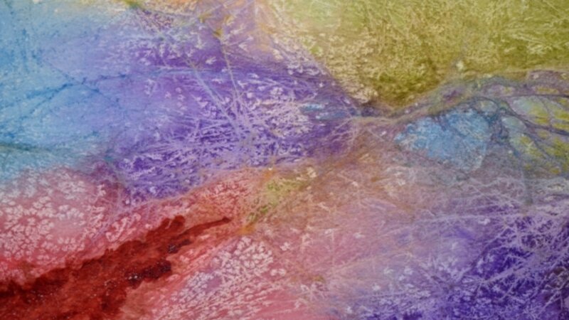 6th Annual Exhibit Nature