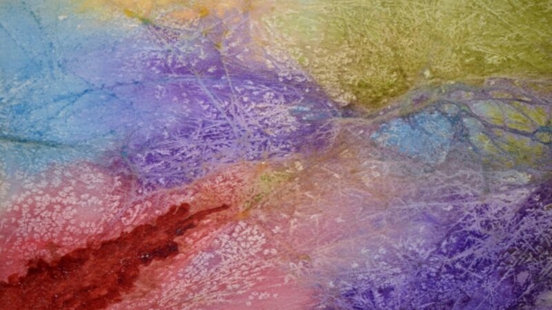 6th Annual Exhibit Nature