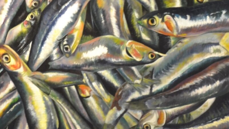 6th Annual Exhibit Something Fishy