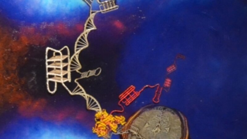 6th Annual Exhibit C9orf72: what lies within neurodegeneration