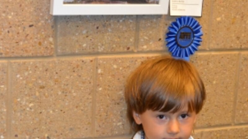 6th Annual Exhibit Dolphin