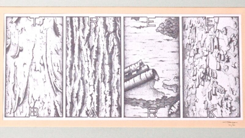 7th Annual Exhibit Tree Bark