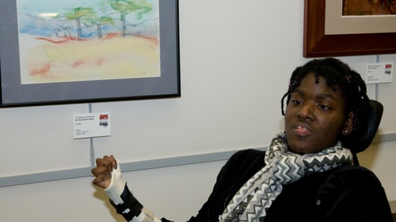 3rd Annual Exhibit An African Landscape