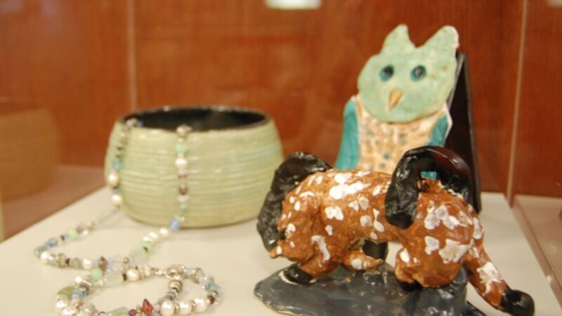 7th Annual Exhibit A few of the three dimensional artworks from Youth, Teen and Amateur categories on display at the Tacoma NAP show.