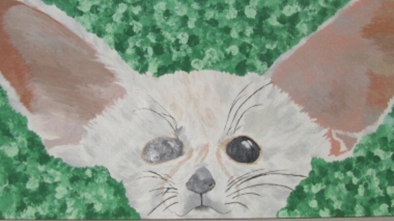 7th Annual Exhibit Fennec Fox