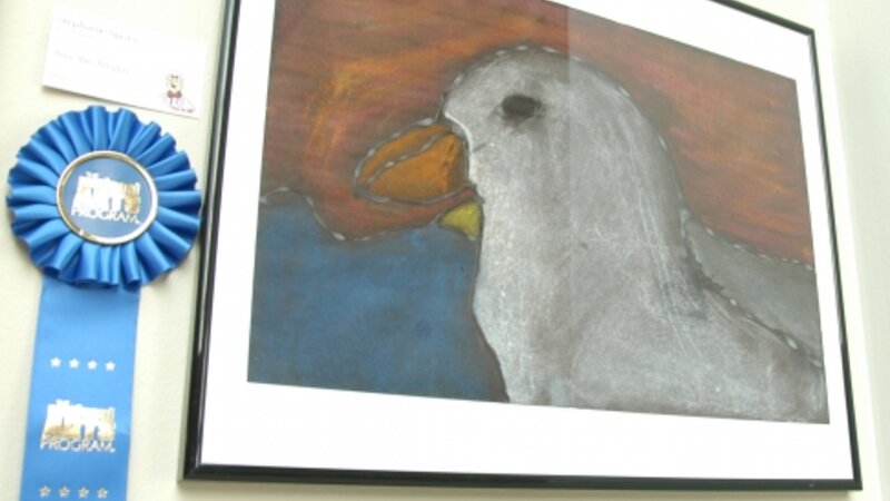 6th Annual Exhibit Amy the Albatross